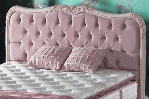 Elegance Başlık